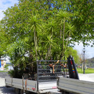 114_4142_JPG-1336428027