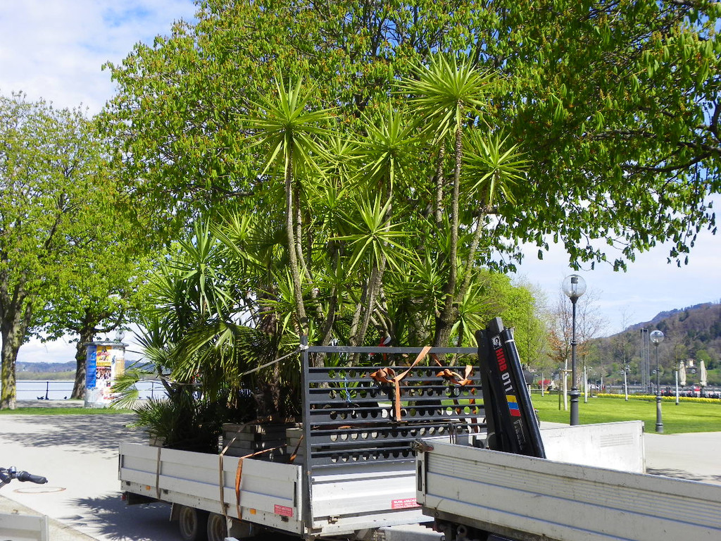 114_4142_JPG-1336428027