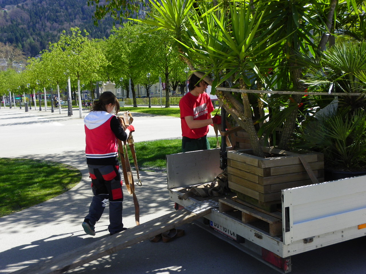 114_4144_JPG-1336428034