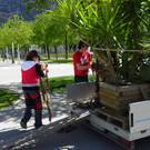 114_4144_JPG-1336428034