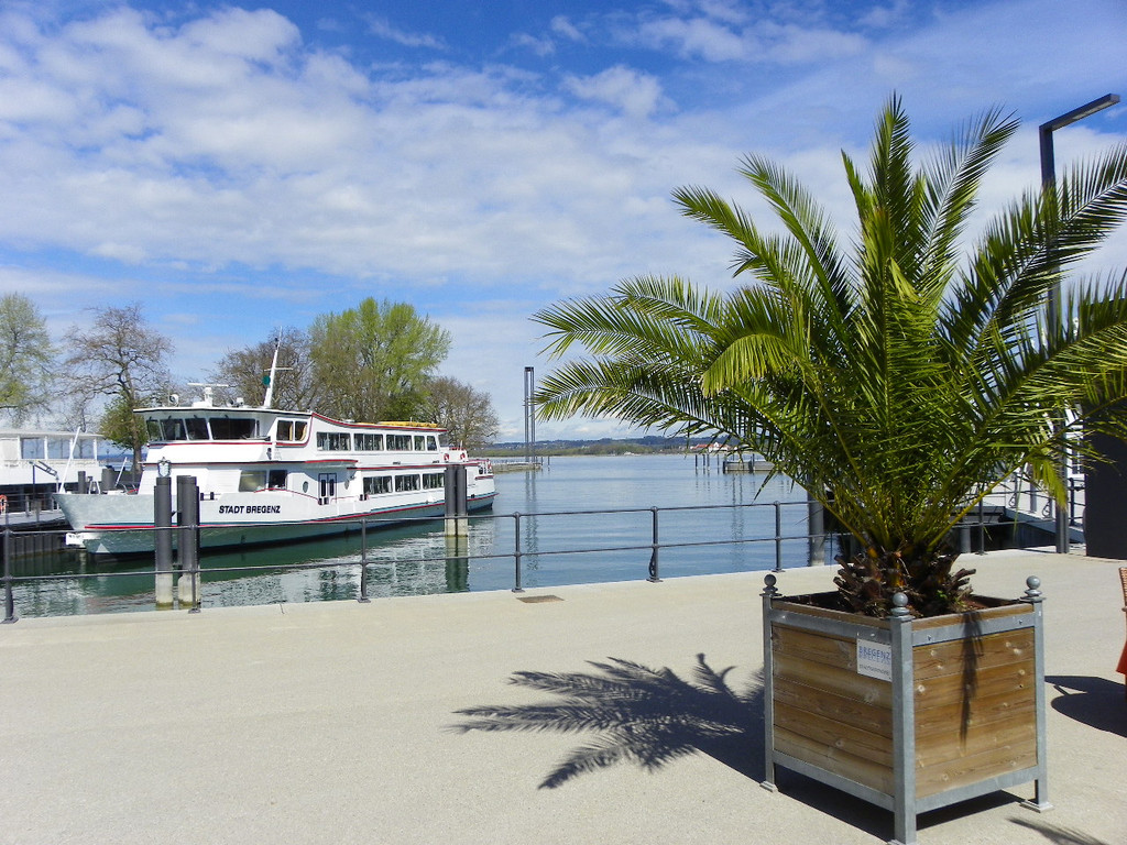 114_4101_JPG-1336428017