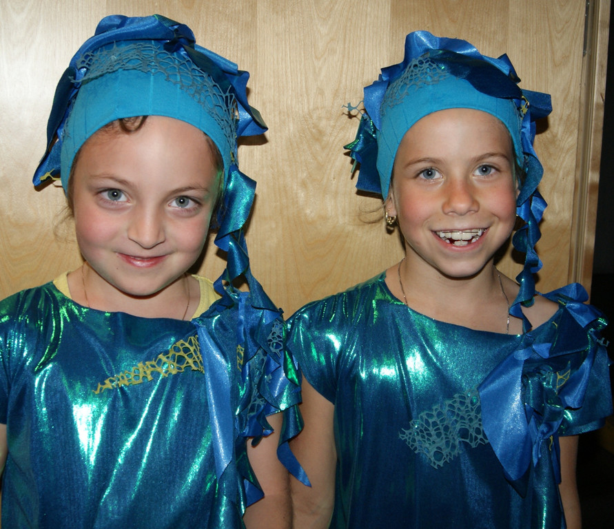 DSC02943_JPG-1336432655