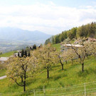 IMG_8347.jpg