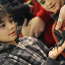 Tierbabies im Haus des Meeres