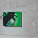 DSC_5769_jpg-1336490367