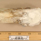 IBD0003-20120508.jpg