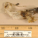 IBD0001-20120508.jpg