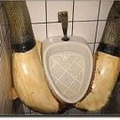 toilet-10.jpg