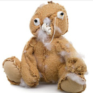 9_23_teddy1.jpg