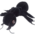 microbe blackant.jpg