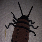 roach-788421.jpg