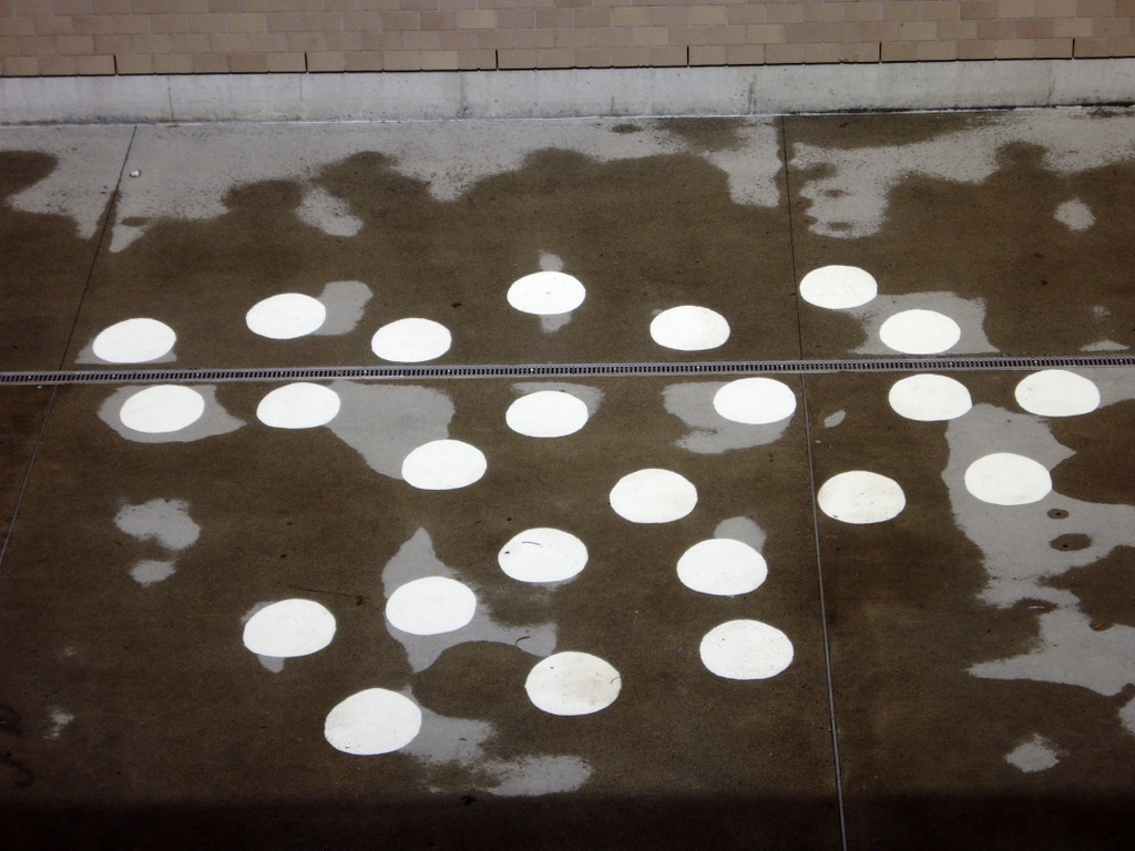 DSCI0005_JPG-1336564080