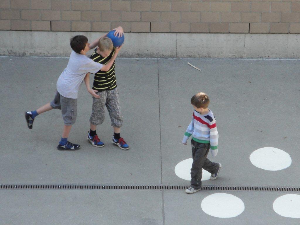 DSC02552_jpg-1336564132