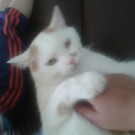 2012-05-05 17_58_06.jpg