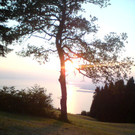 DSC00142.jpeg