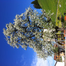 Foto13.JPG