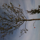 Foto8.JPG