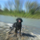 Nelly2.jpeg