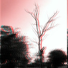 PicsArt_1336415641158.jpg