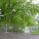 114_6064_JPG-1336603823