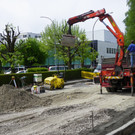 114_6601_JPG-1336606244