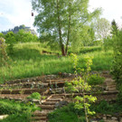 DSC_0018-1.jpg