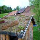 DSC_0071-1.jpg
