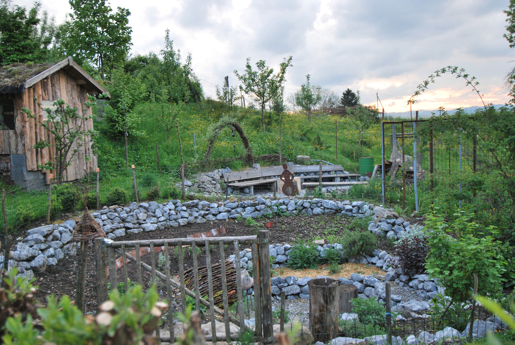 DSC_0098-1.jpg