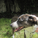 IMG_3178_jpg-1336653914