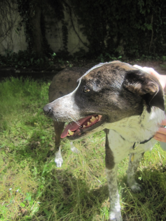 IMG_3178_jpg-1336653914