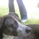 IMG_3181_jpg-1336653927