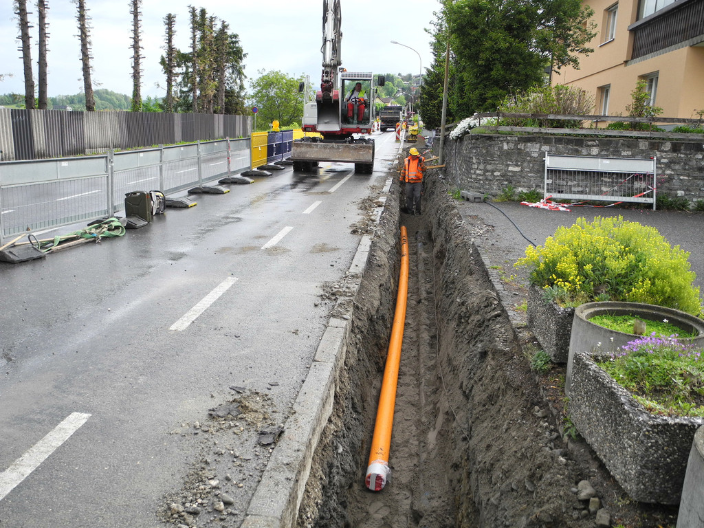 DSCN3637_JPG-1336719941