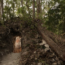 Guatemala: Älteste jemals entdeckte Maya-Kalender gefunden