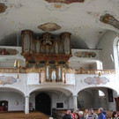 IMG_8575_jpg-1336741813