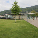 IMG_8683_jpg-1336741862