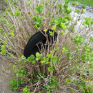 2012-04-29 10-27-28.JPG