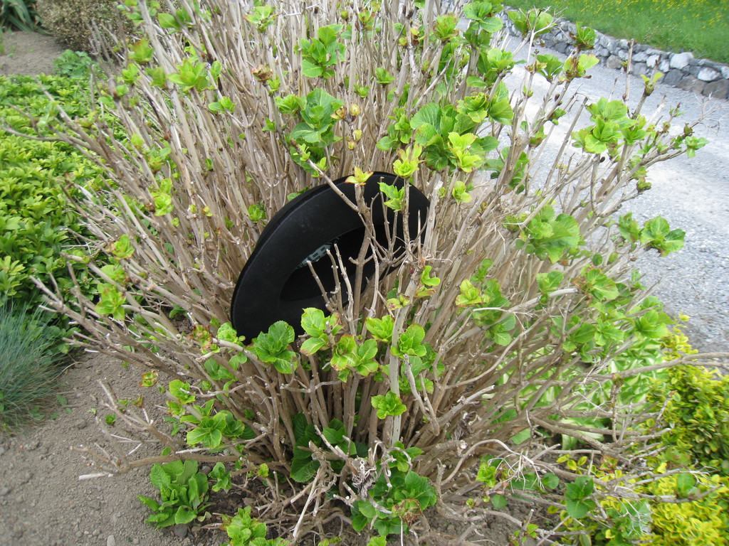 2012-04-29 10-27-28.JPG