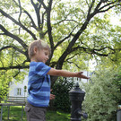 IMG_0515_JPG-1336752262