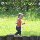 IMG_0592_JPG-1336756630