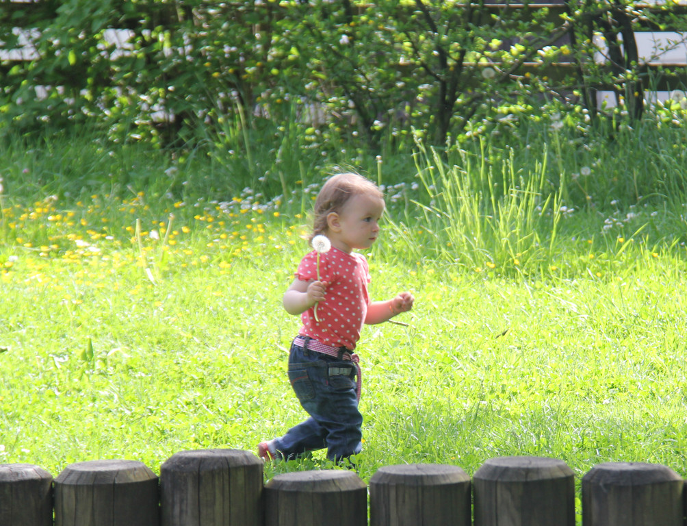 IMG_0592_JPG-1336756630