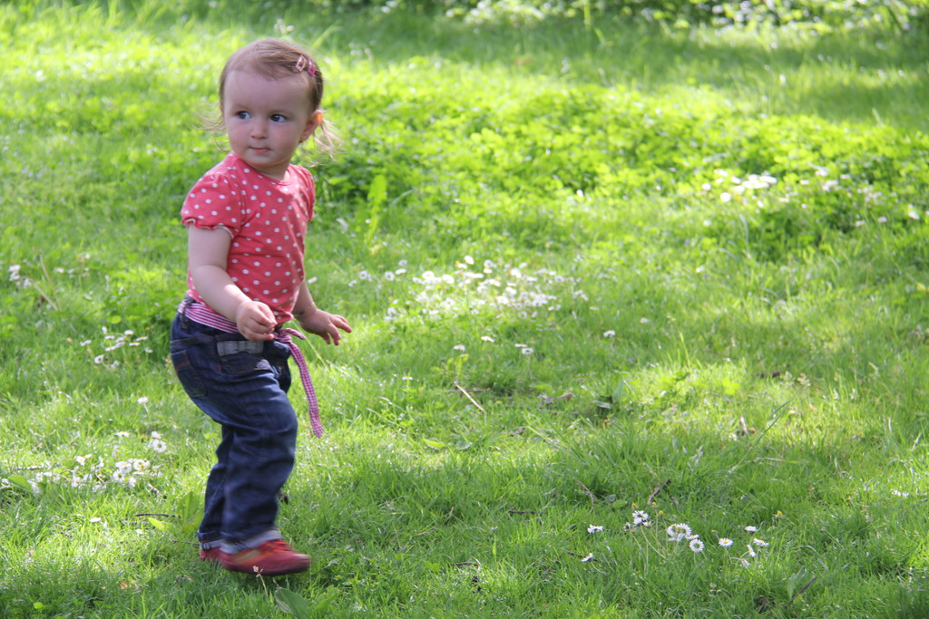 IMG_0598_JPG-1336756673