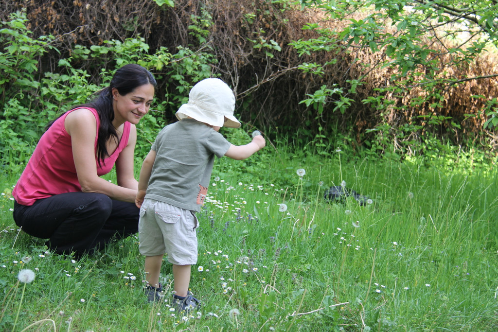 IMG_0627_JPG-1336756827