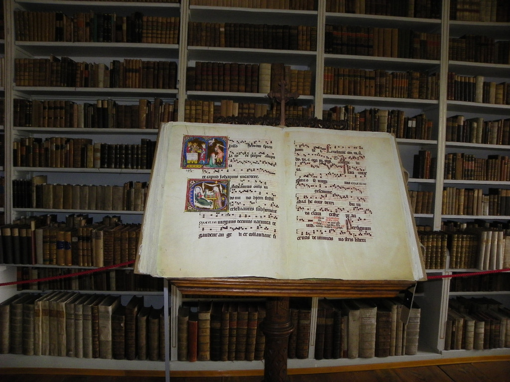 109_7135_JPG-1336777261