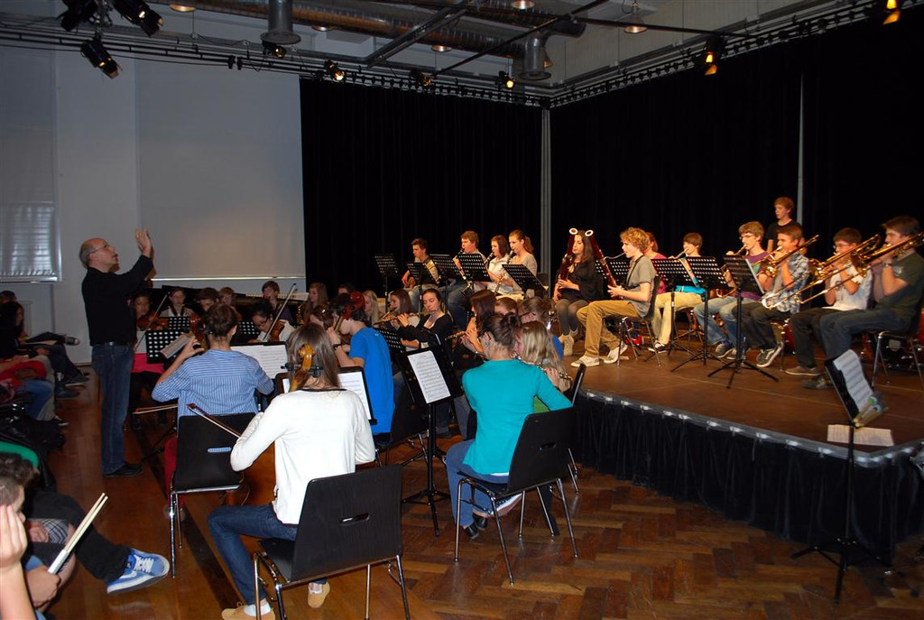 Foto6_Salonorchester_Abschlusskonzert _Mittel_.JPG