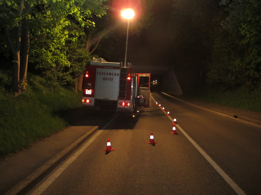 2012-05-11_TE Treietstra__e __lspur_ 006_jpg-1336817717
