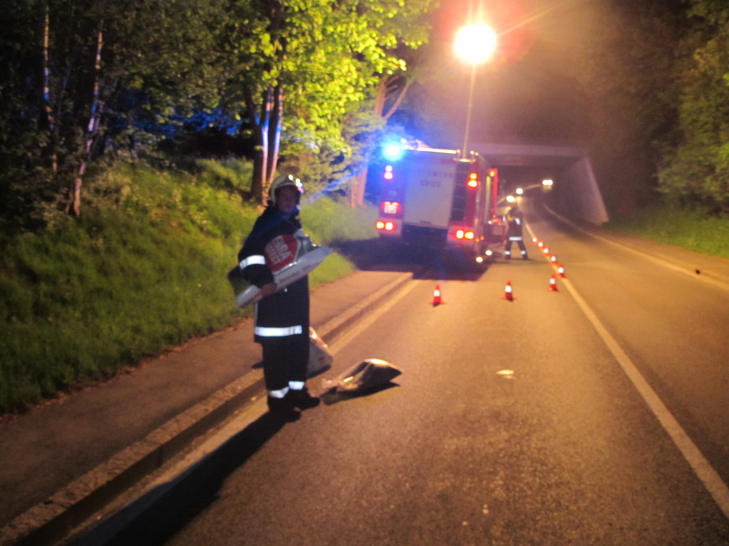 2012-05-11_TE Treietstra__e __lspur_ 007_jpg-1336817740