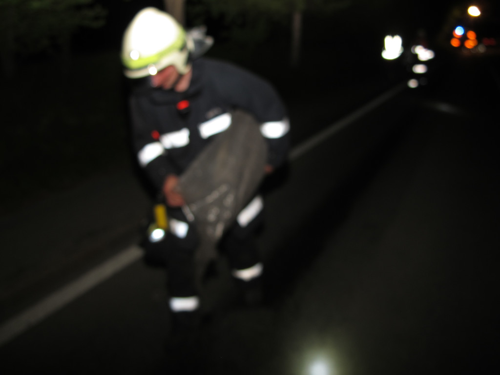 2012-05-11_TE Treietstra__e __lspur_ 008_jpg-1336817750