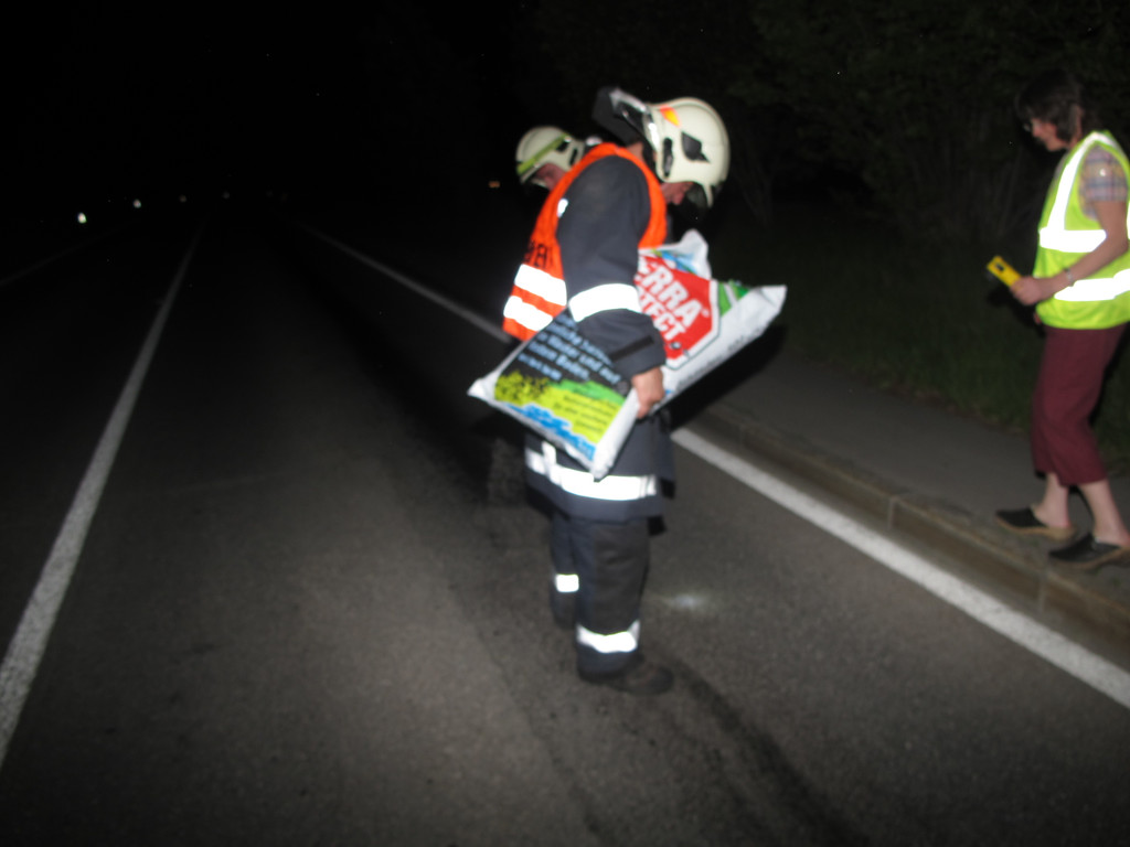 2012-05-11_TE Treietstra__e __lspur_ 010_jpg-1336817764