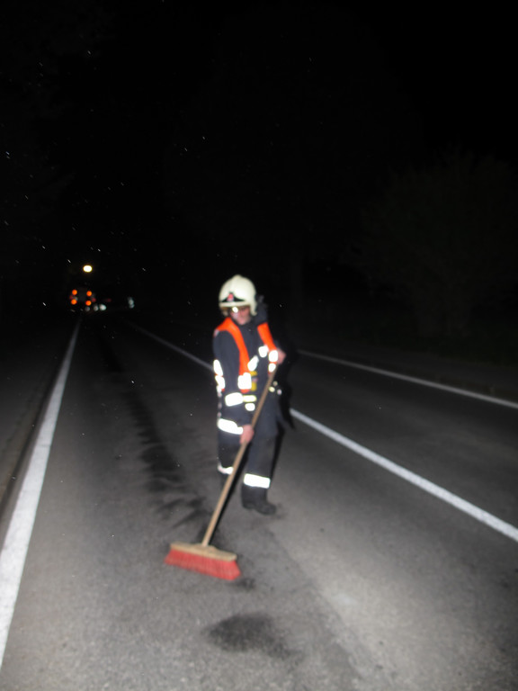 2012-05-11_TE Treietstra__e __lspur_ 013_jpg-1336817775