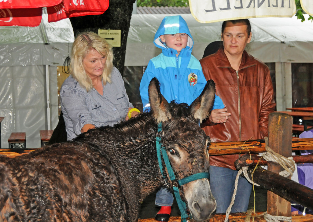 Tierfest H__chst 12_05_2012 48_jpg-1336833750